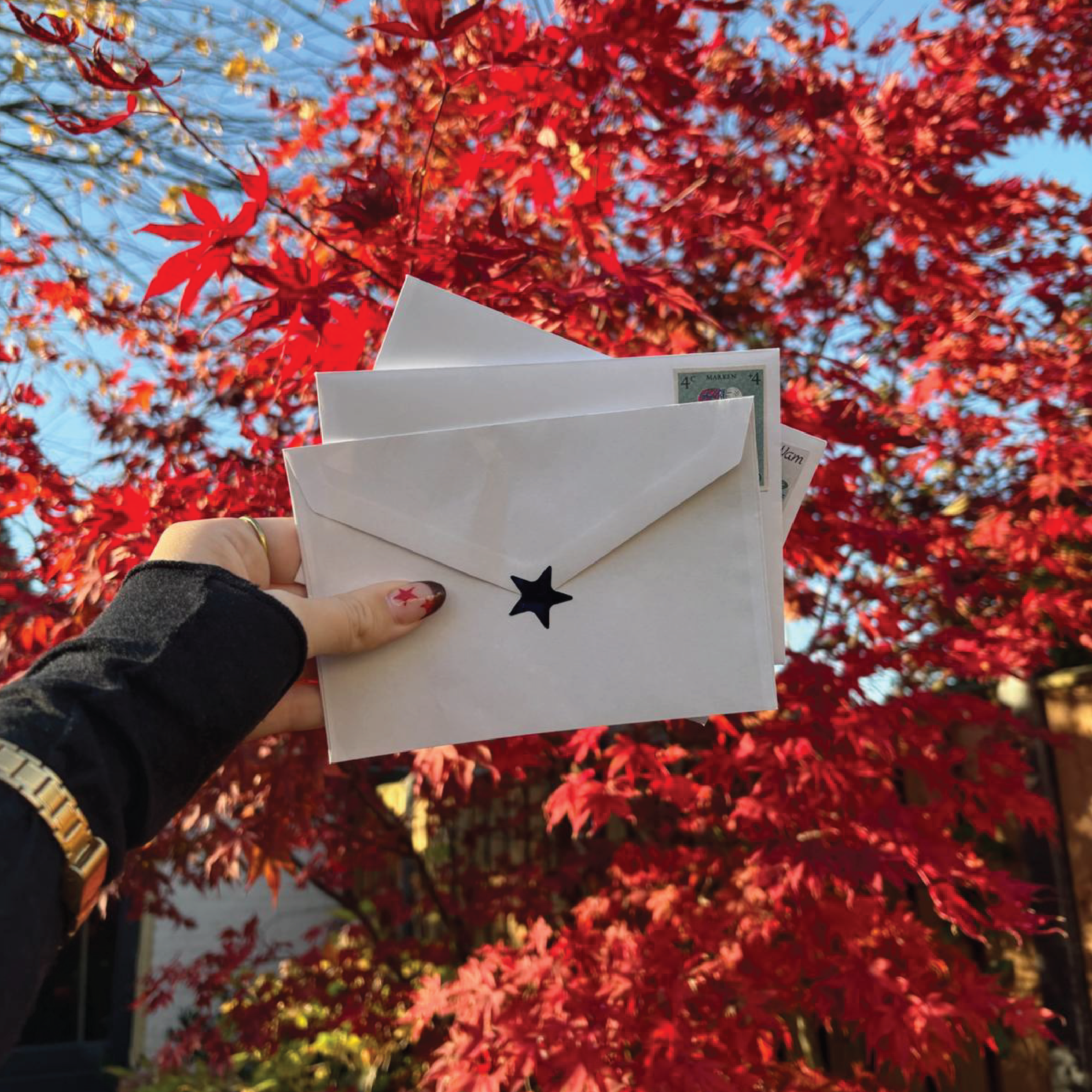 Maandelijks snail mail abonnement